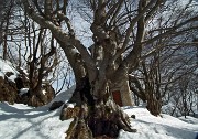 Invernale sui dirimpettai Monti Ocone e Tesoro dalla Forcella Alta al Pertus il 26 febbraio 2015  - FOTOGALLERY